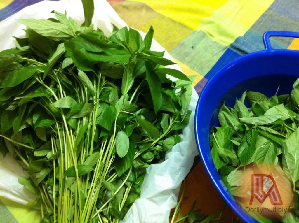 juteleaves01 Saka Saka