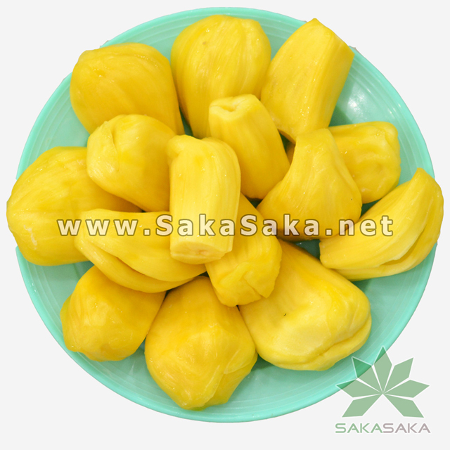 Frozen Jackfruit High Quality From Vietnam