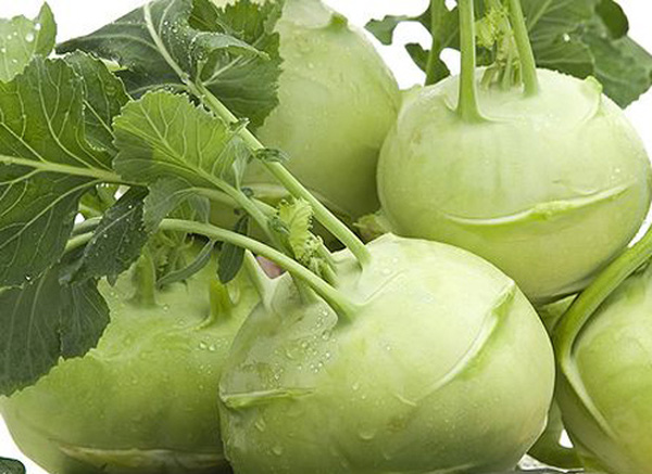 Kohlrabi 