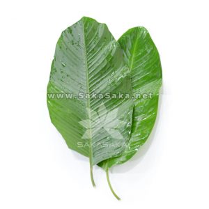 dong leaves