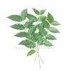 Frozen Curry Leaves