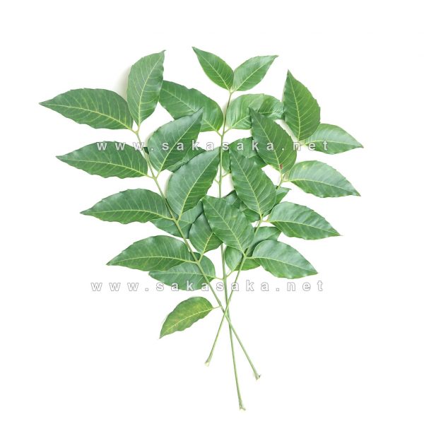 Frozen Curry Leaves