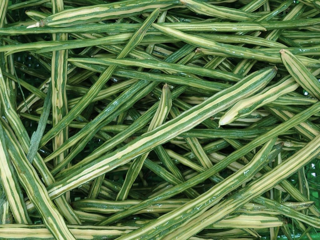 After being washed, they will have the stems removed and the inedible tough skin peeled off.